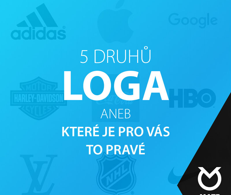 5 základních druhů loga
